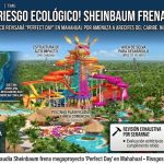 ¡Alto al riesgo ecológico! Sheinbaum pone freno a megaproyecto de Royal Caribbean en Mahahual