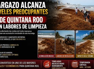 Sargazo alcanza niveles preocupantes en playas de Quintana Roo y refuerzan labores de limpieza