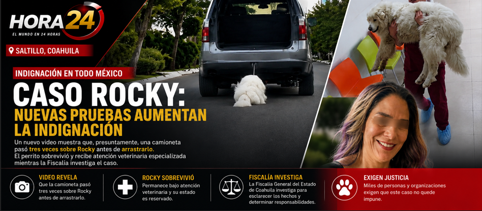 Indignación por el caso de Rocky; investigan presunto maltrato animal en Saltillo
